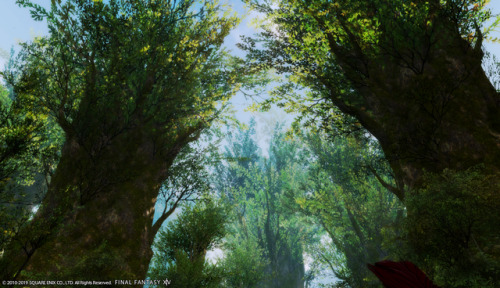 ffxiv-achemi