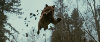 cenizawrites: WEREWOLF / WOLF GIF PACK Below the...