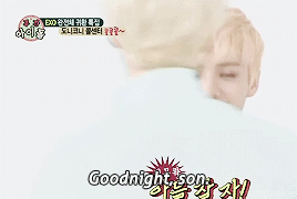  best of dumb exo pt. 2: ↳ Sehun 