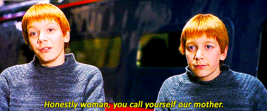 siriusblaack:  Favorite Scenes of Fred and George: 3/∞   My life as a twin up