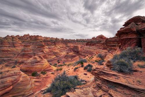 russmosis:Stone Temple Pilots…Vermillion Cliffs National Monument, Arizona