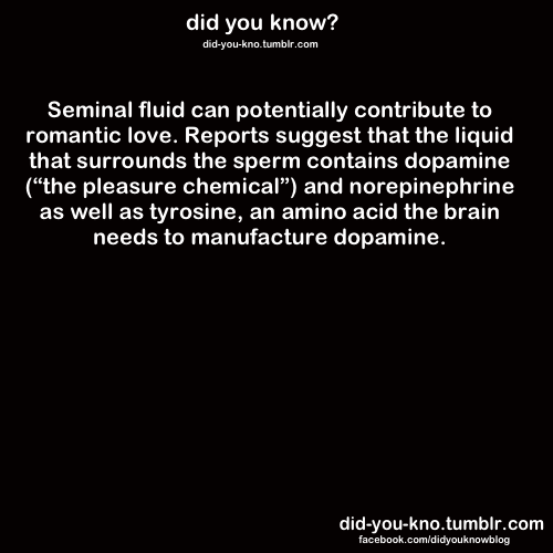 did-you-kno:  Source book: Why We Love: The Nature and Chemistry of Romantic Love.