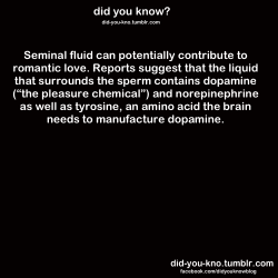 did-you-kno:  Source book: Why We Love: The Nature and Chemistry of Romantic Love. 