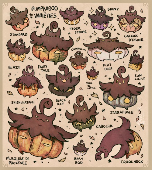 Some Standard And Heirloom Pumpkaboo Varieties 🎃