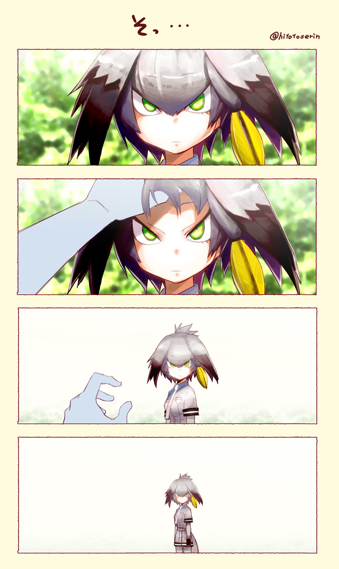 aku-no-homu:Shoebill by artist 春夏秋冬 鈴(ヒトトセ　リン) (@hitotoserin)