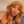 aidashakur: A man wanting you to cum before him is big dick, big husband, big daddy