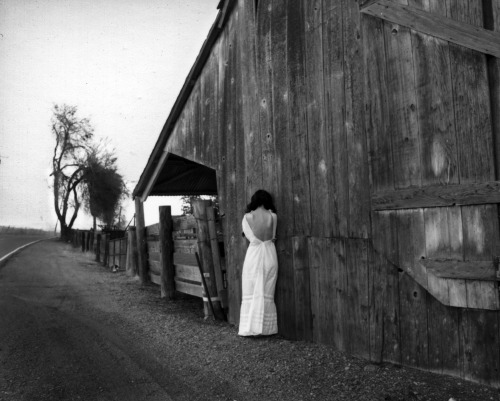 house of decay  before the sun screamed out its last ray of light, she ran, as her grandmother once 