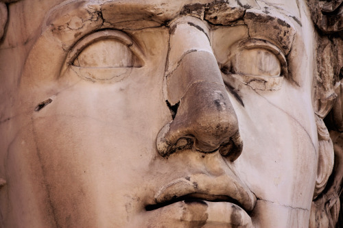 champagne:greco roman colossal statue detail, bust, face, vatican museum garden, rome, italy, 2012 (