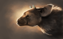 finchwingart: a painting of Trico I did today.