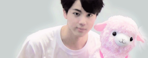 taekookie-bts:  Jin and the pink sheep  