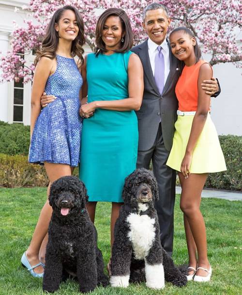 Presidential Pets Through the Years - see all the pictures!