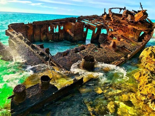 Up close with the Gallant Lady Shipwreck in North Bimini.  . . . . #gallantlady #gallantladyshipwrec