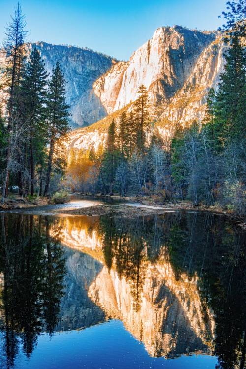 oneshotolive:  Dreamy Yosemite Valley [OC] [5000x7500] 📷: YoungJefferson 