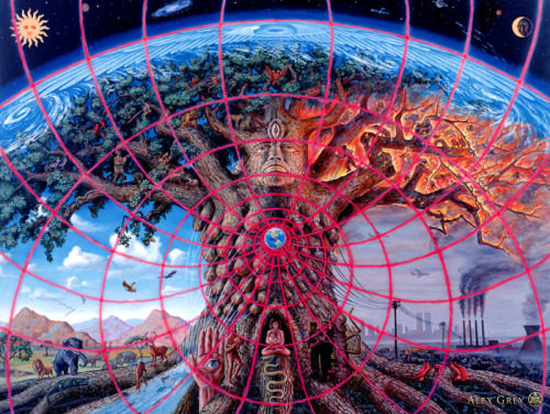 fuckyeahdrugpolicy:paintings by alex grey