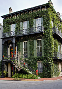 st4rless-city:  Ivy House at Columbia Square