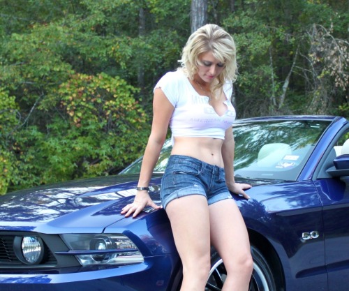 VEHICLE VIXENS