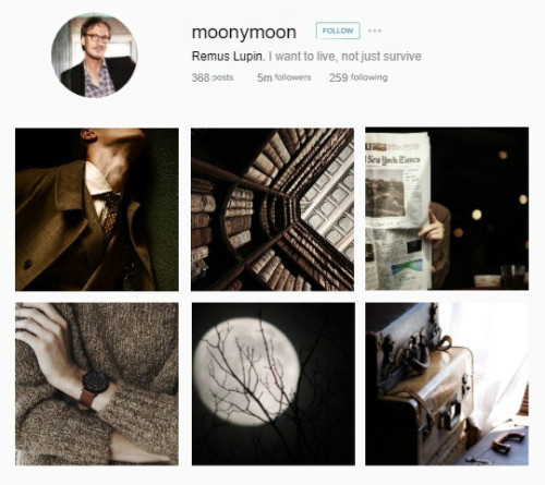 adeoetregina:INSTAGRAM AU>> the Harry Potter Series >> the Order of the Phoenix (selecti