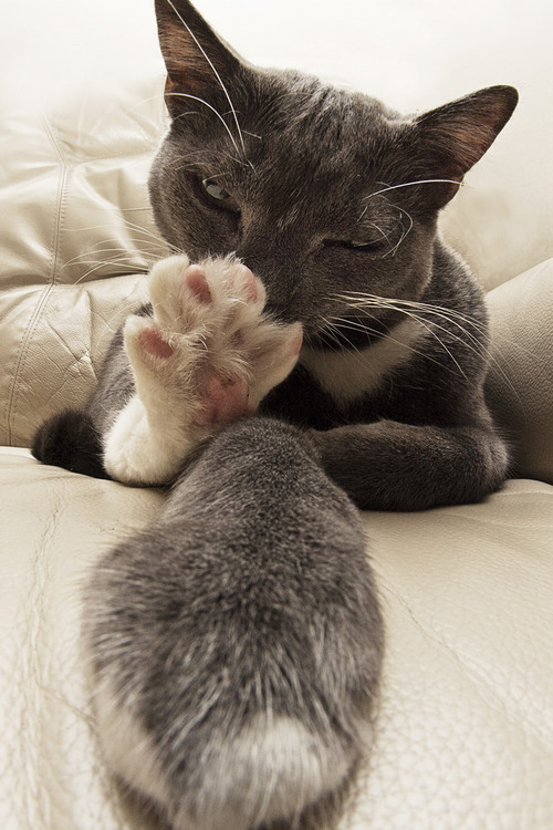 m24p:All sizes | Talk to the hand | Flickr - Photo Sharing! na We Heart It - weheartit.com/en