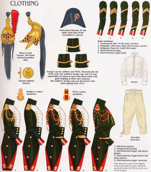 Various uniforms and equipment of the Dragoons of the Imperial Guard ( Empress’ Dragoons), First Fre