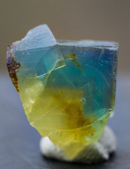 kick-it-in-the-sticks:Blue and Green Fluorite with a Enhydro bubble.  