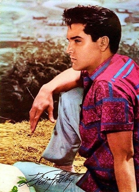 elvisspresley:    
