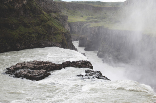 rangifers: Gullfoss, Iceland IAugust 2014