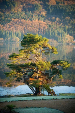 bonitavista:  Loch Goil, Scotland photo via