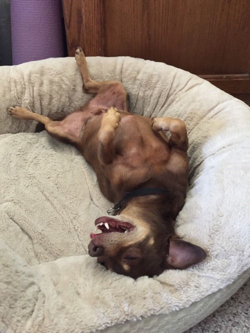 It&rsquo;s hot in California today, I&rsquo;ll take my chicken chilled.