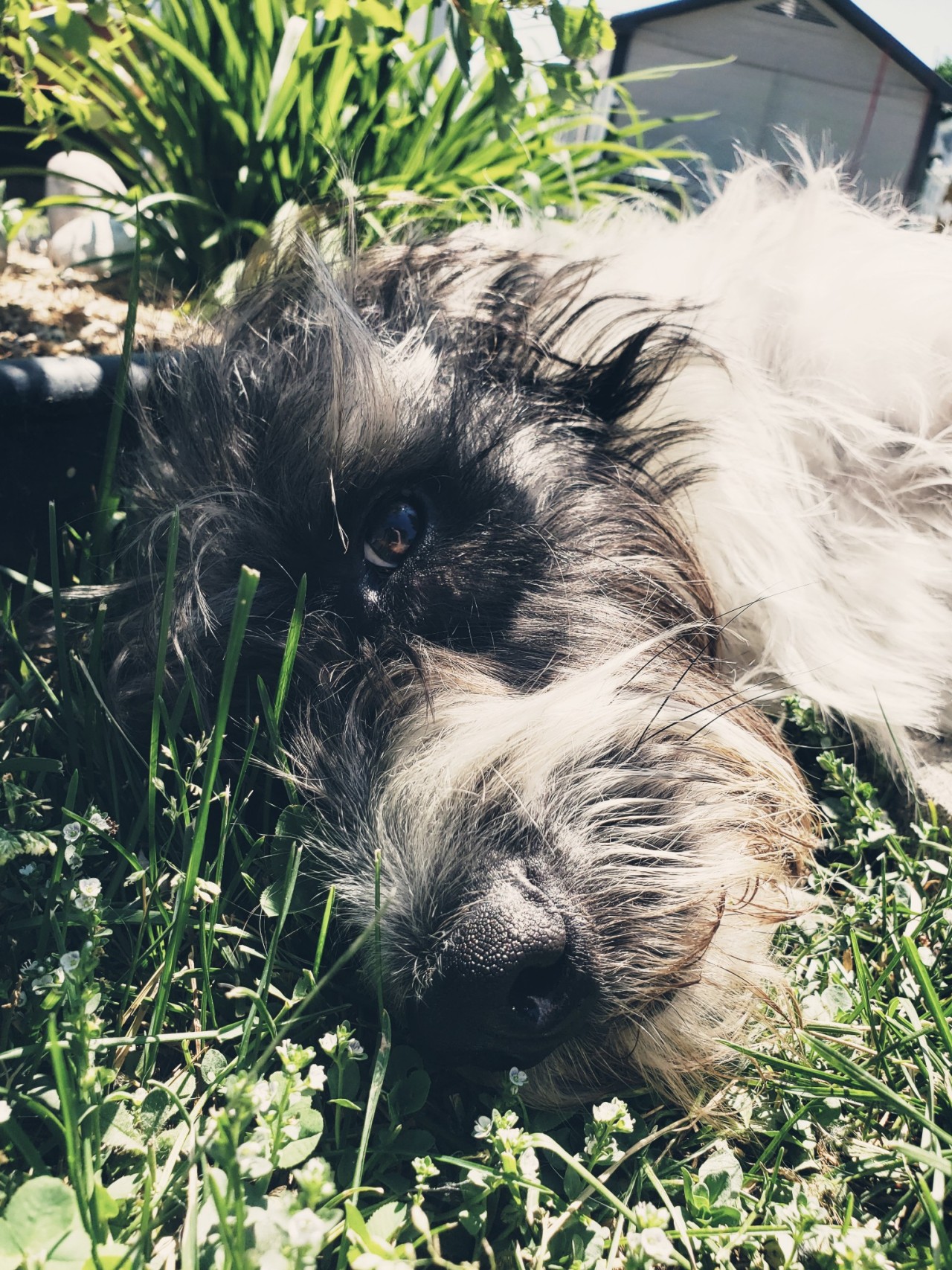 my-life-be-like-guillaume:My little flo 🥰