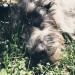 my-life-be-like-guillaume:My little flo 🥰