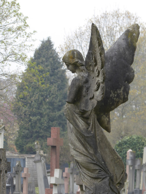 skull-designs:“What’s Another Year?” (3)  Putney Vale Cemetery, London Borough of Wandsworth