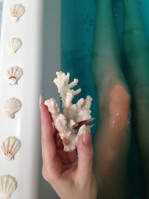 floralwaterwitch:This little mermaid had the loveliest seaweed bath ✨