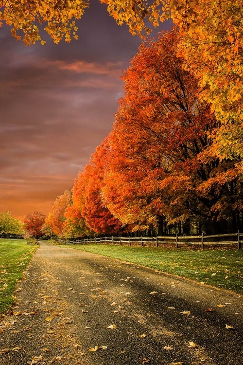 a-garota-de-capa-vermelha:  The wonderful world… @ 