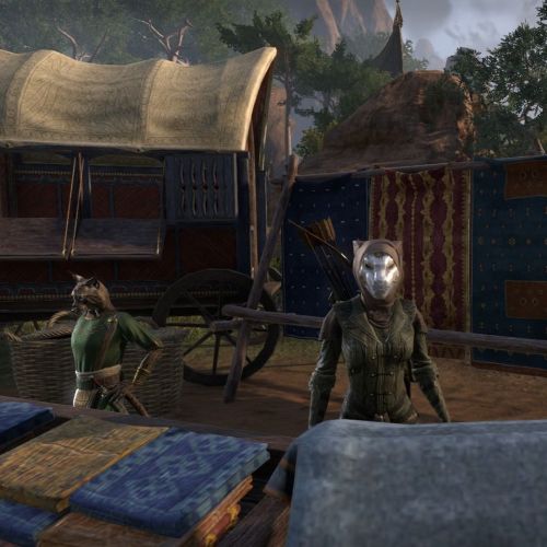 &ldquo;Khajiit&rdquo; has wares if you have coin! . Does anyone else out there who plays MMOs dress 
