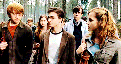 jenslawrence:  These are a few of my favourite things (◡‿◡✿):   Harry Potter and the Order of the Phoenix (2007)  