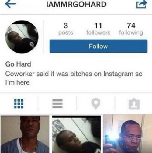 justcallmefresh:  sisqofanclub:  Realest instagram bio ever  Mah nigga.