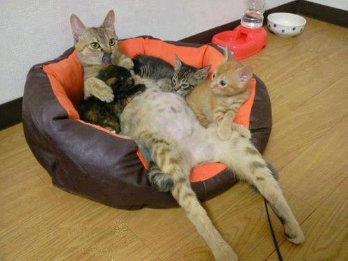 funny-gif-1:  Other Funny Gİfs http://funny-gif-1.tumblr.com/