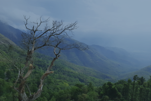 As I Lie On The Lap Of The Earth, Basking In Her Lighti Remain Drenched In The Joy Of Knowing That Every