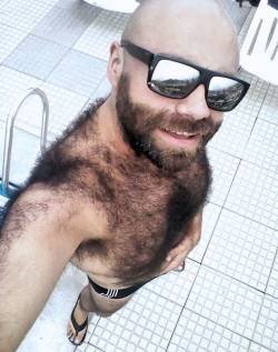 harrybacks:  Hairy Shoulders 251 