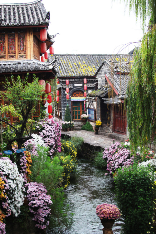 floralls:Autumn at Lijiang old town, China byNgoc Hung