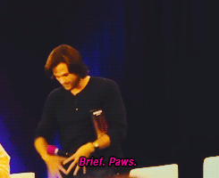 XXX antiquers:  Proof that Jared is 50% Princess photo