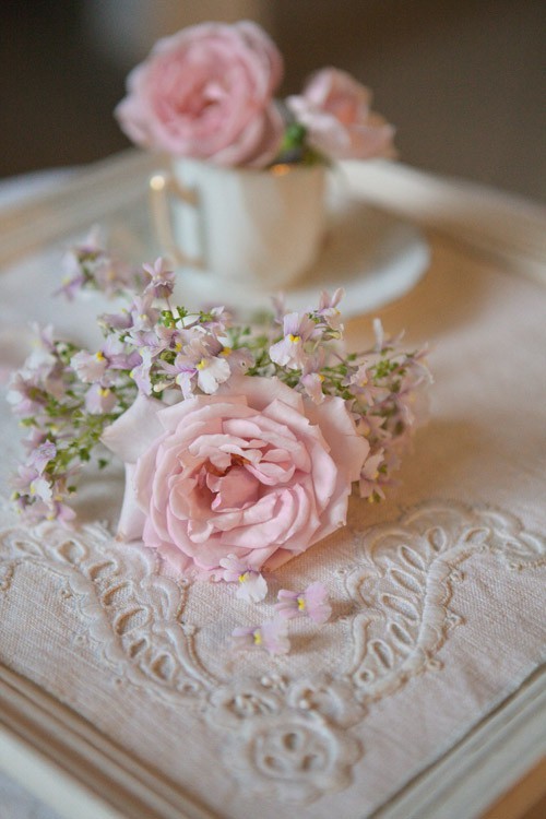 syflove:roses