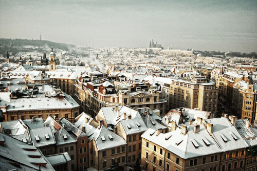senpais:Erik Witsoe, Winter in Prague
