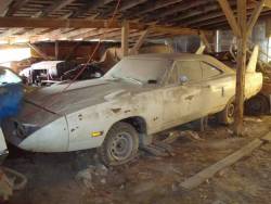 rodderhaven: Awesome barn find