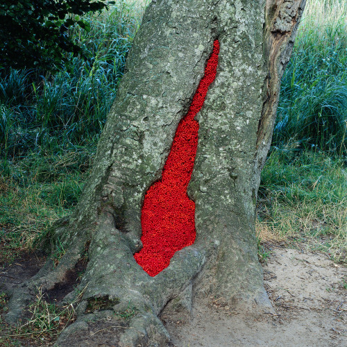 redlipstickresurrected: Nils Udo (German, b. 1938, Lauf an der Pegnitz, Germany) - Installations and