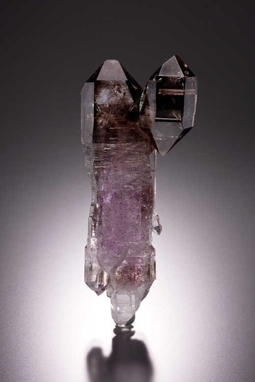 ifuckingloveminerals:Smoky AmethystGoboboseb Mts, Brandberg Area, Erongo, Namibia