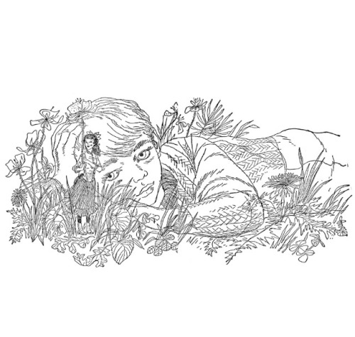 Illustrations From The Borrowers Series