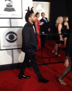 dopeboynextdoor:  The Weeknd  The hair was spotted