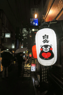 ninetail-fox:  a Japanese-style bar ,Shinbashi