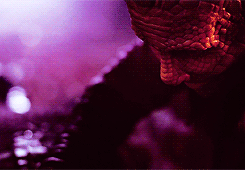 brideoffire:  doctor who meme | five otps ↳ vastra/jenny [4/5] 